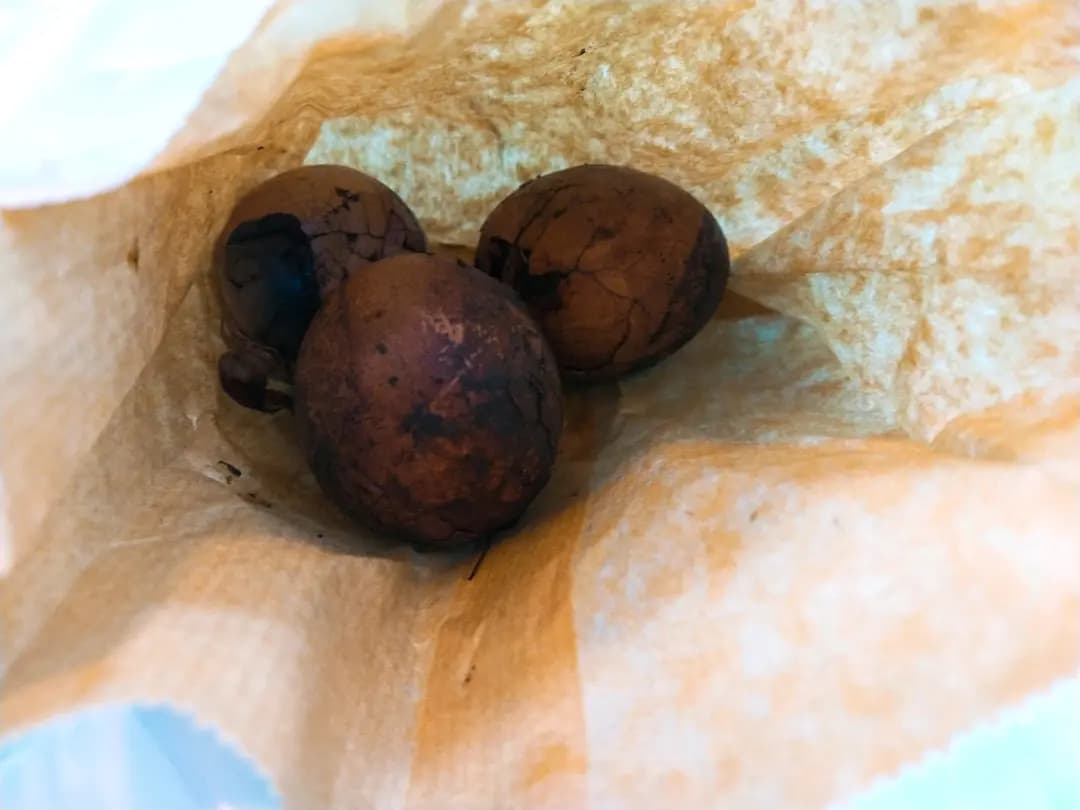 王老吉涼茶 photo 8
