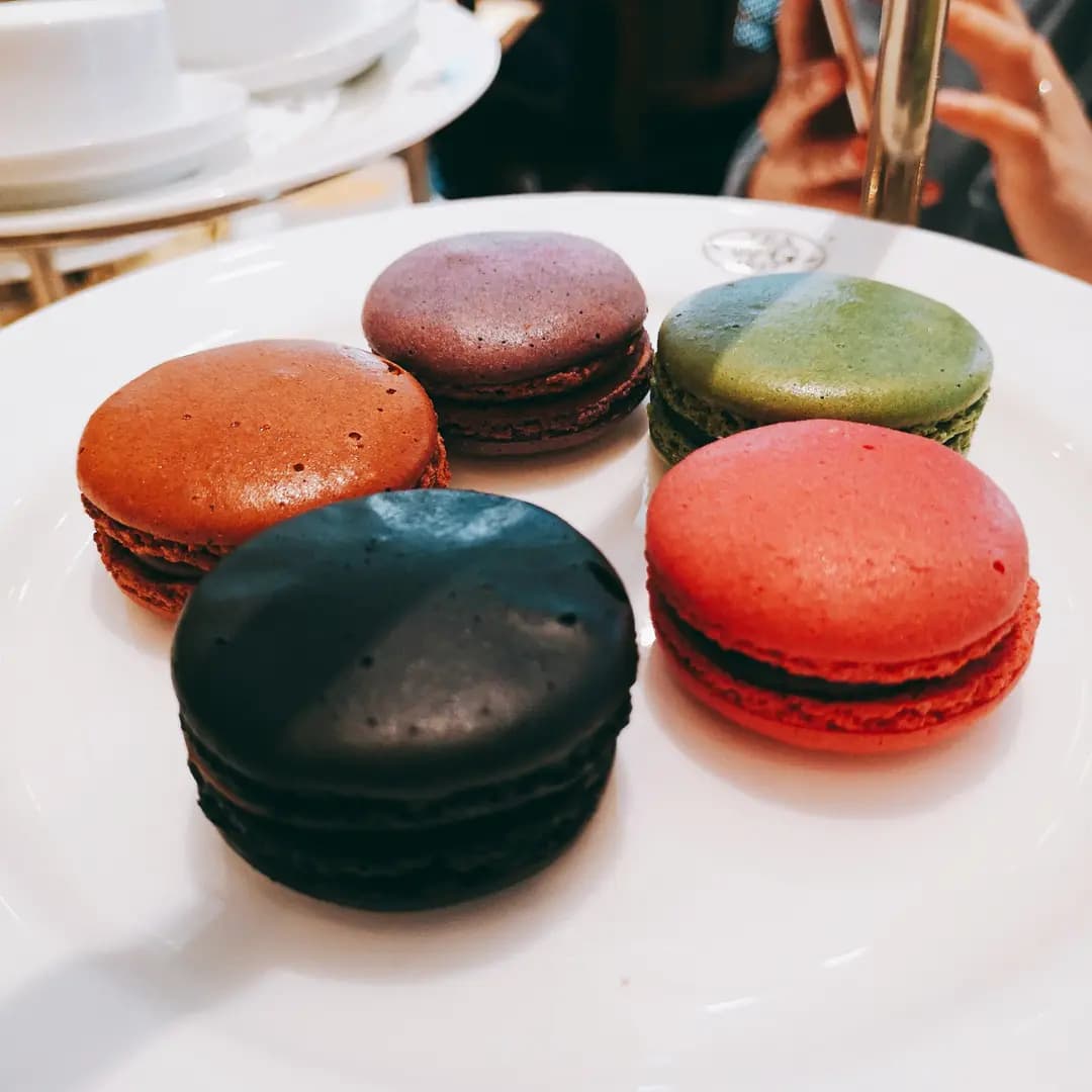 Tea WG Salon & Boutique (國際金融中心商場) photo 2