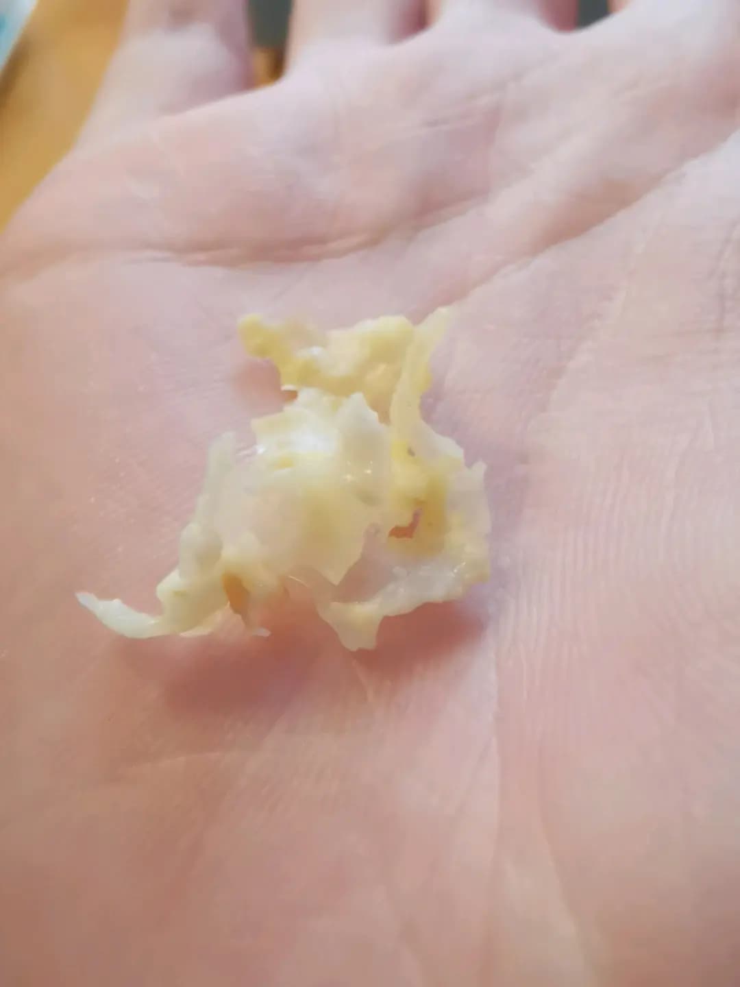 麥當勞 (麗城薈三期) photo 1