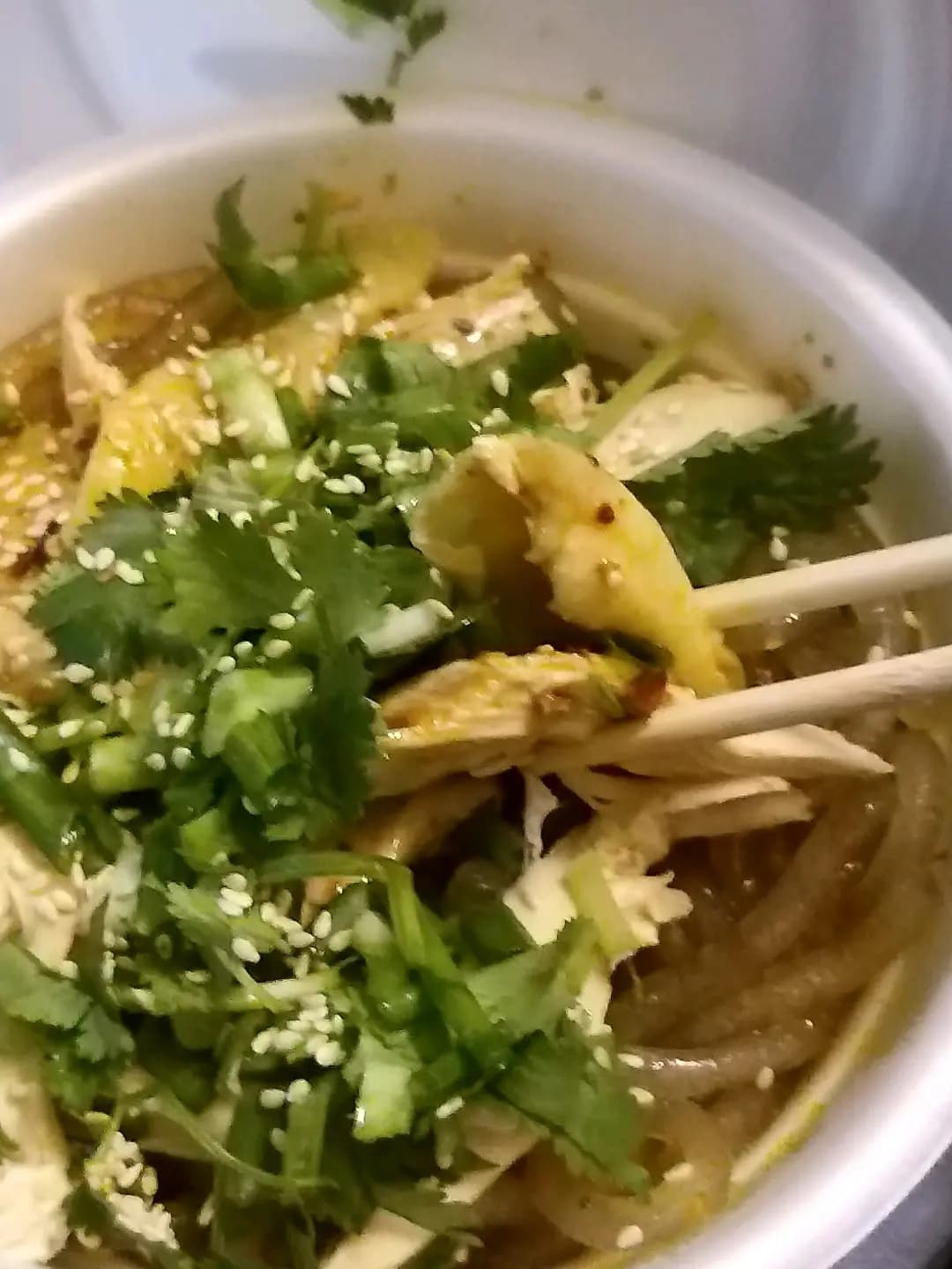 為食貓 photo 1