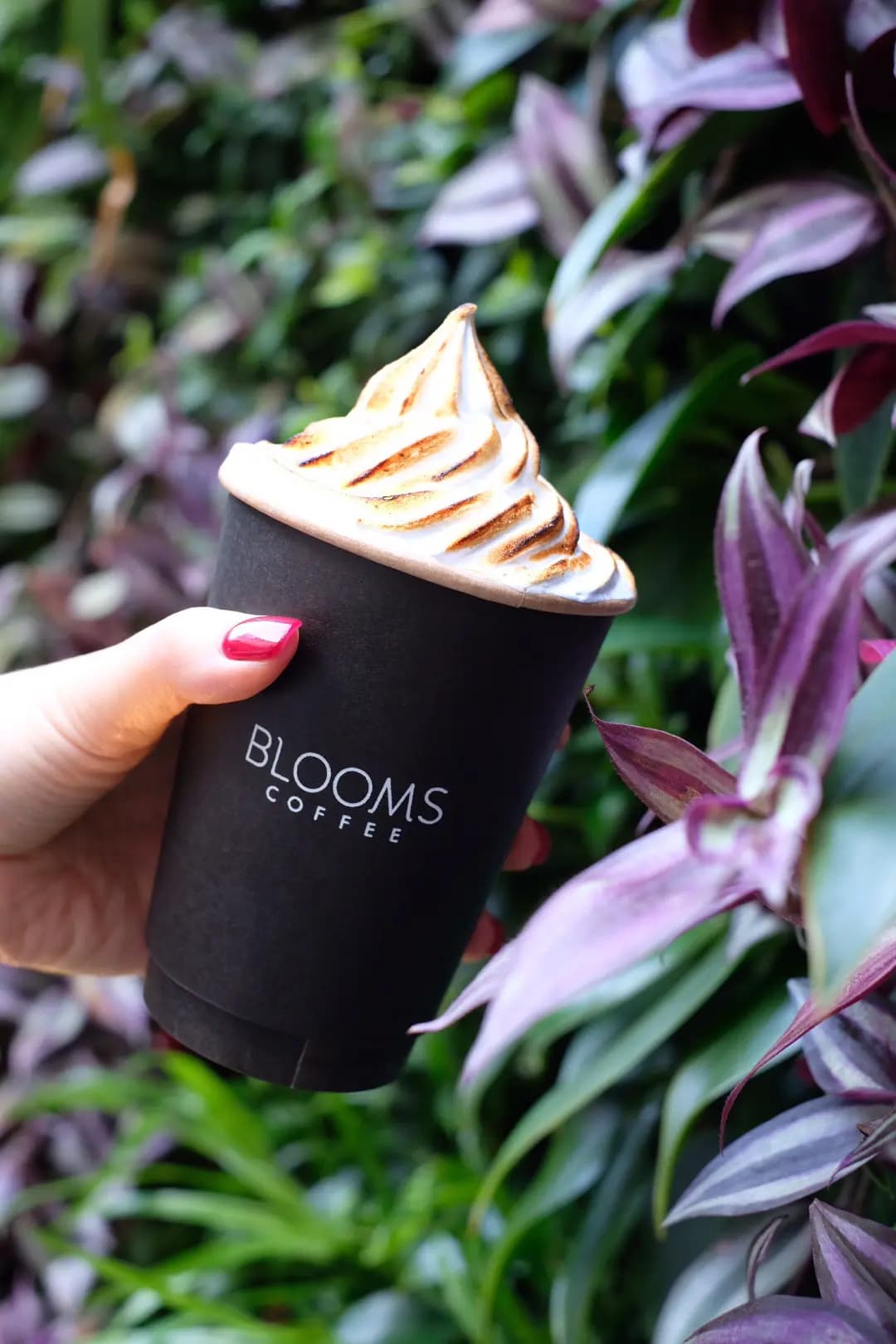 Blooms Coffee (K11 Musea) photo 8