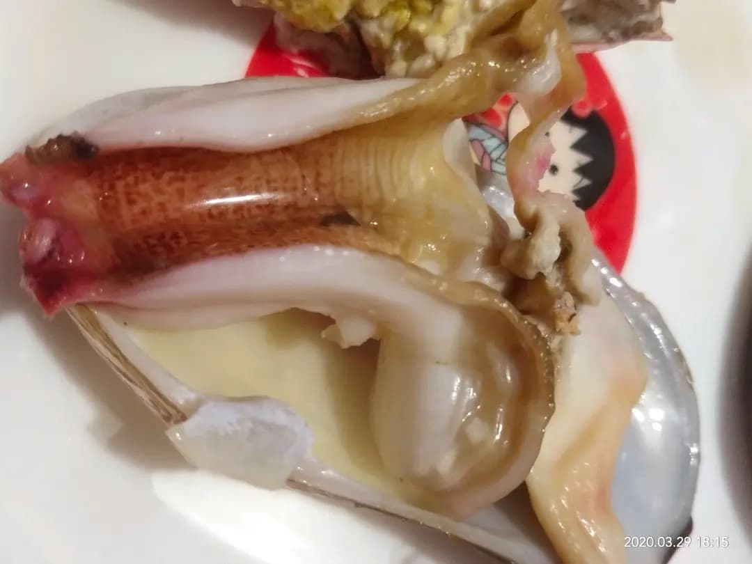 鮮直送 photo 3