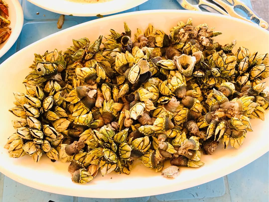 洲際茶餐廳 photo 4