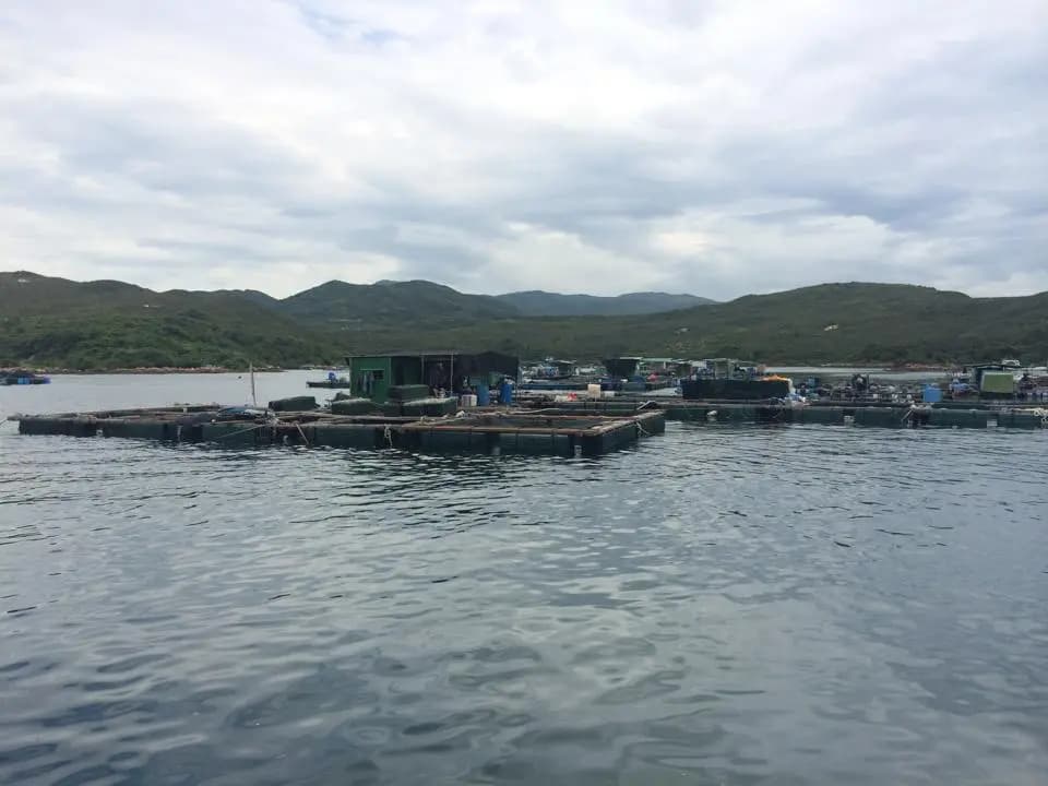 蘇記休閑垂釣 photo 5