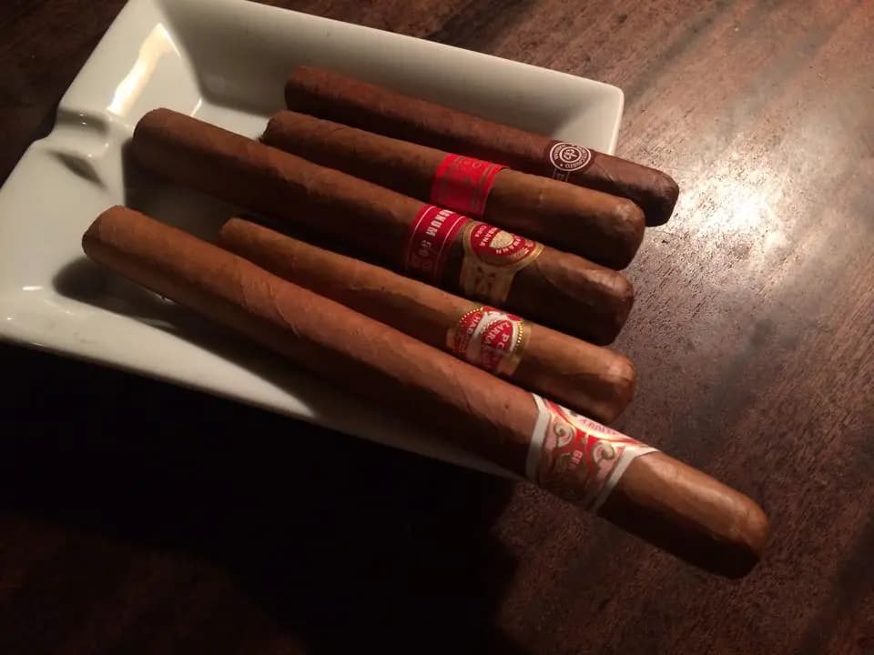 Pacific Cigar Divan photo 8