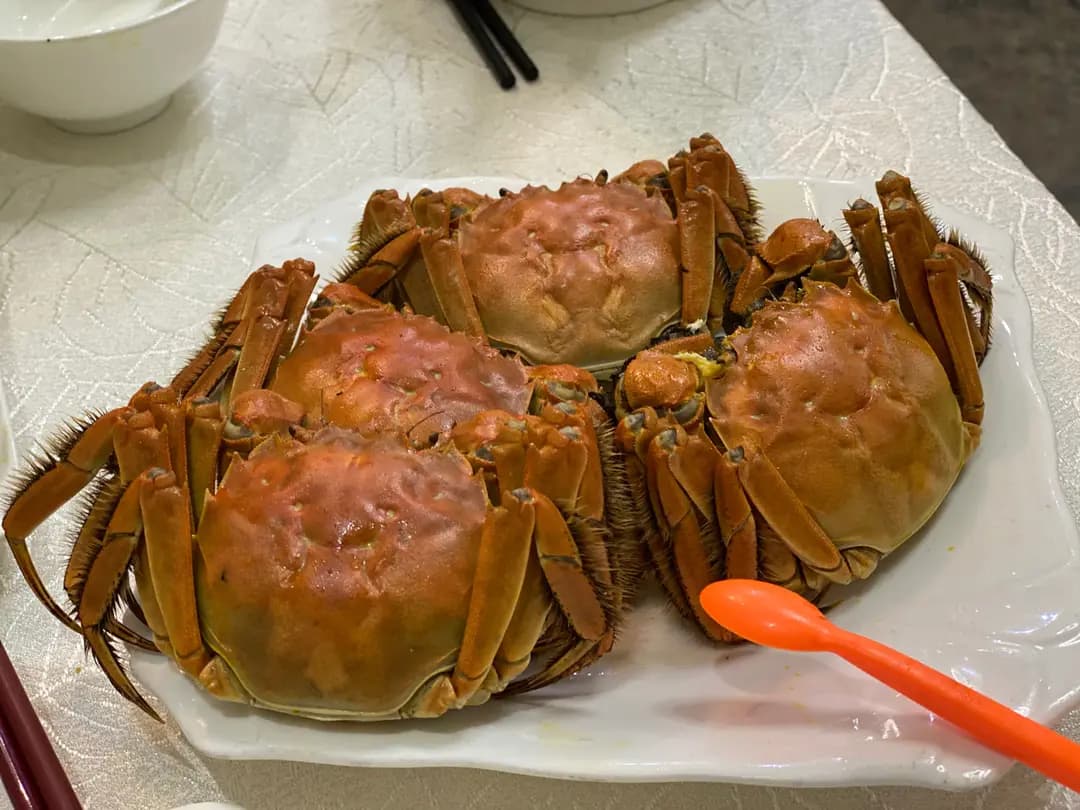 金兜記海鮮菜館 photo 6