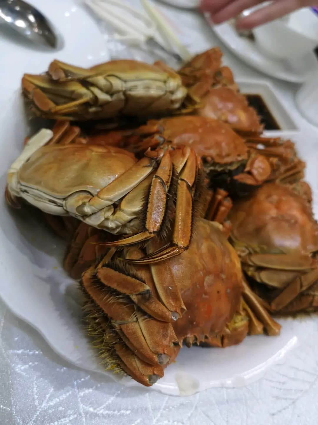 金兜記海鮮菜館 photo 1