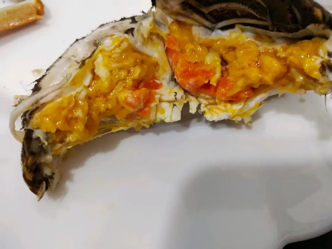 海記大閘蟹專門店 photo 1