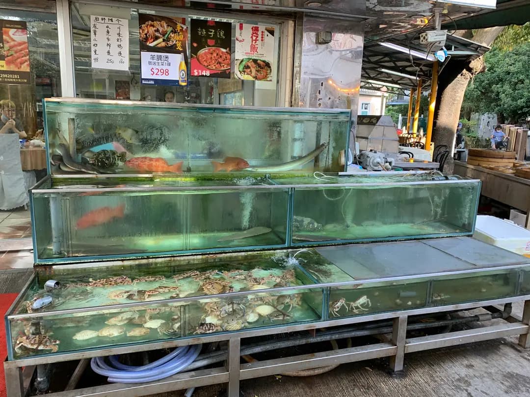 龍華海鮮酒家 photo 7