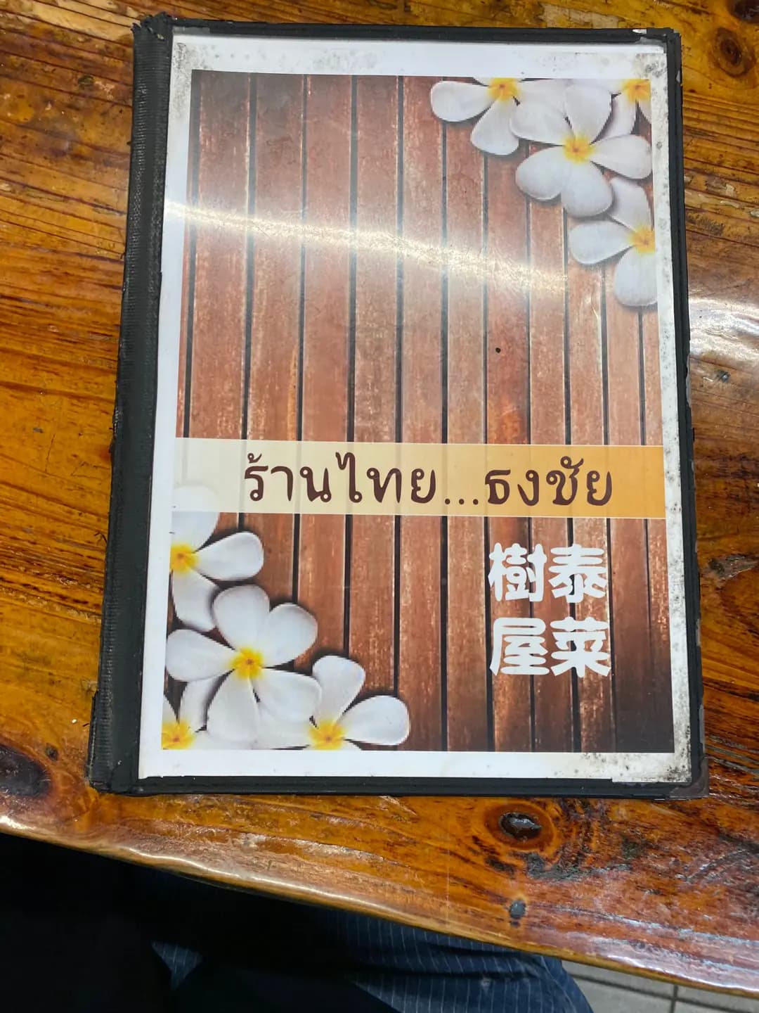 樹屋泰菜 photo 1