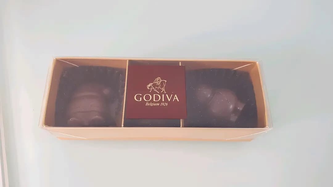 Godiva Chocolatier (德福廣場1期) photo 3