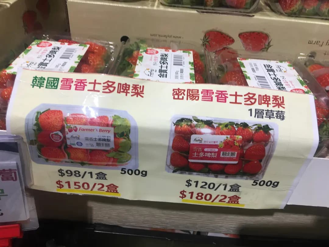 韓印紅 photo 6