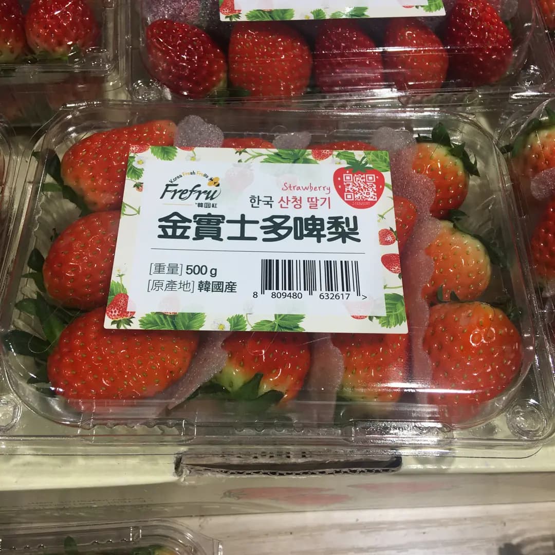 韓印紅 photo 3