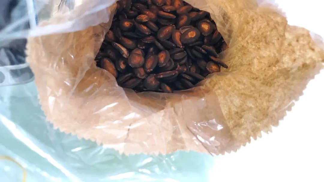 陸金記瓜子大王 photo 3