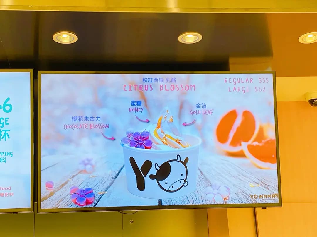 Yo Mama Frozen Yogurt photo 6