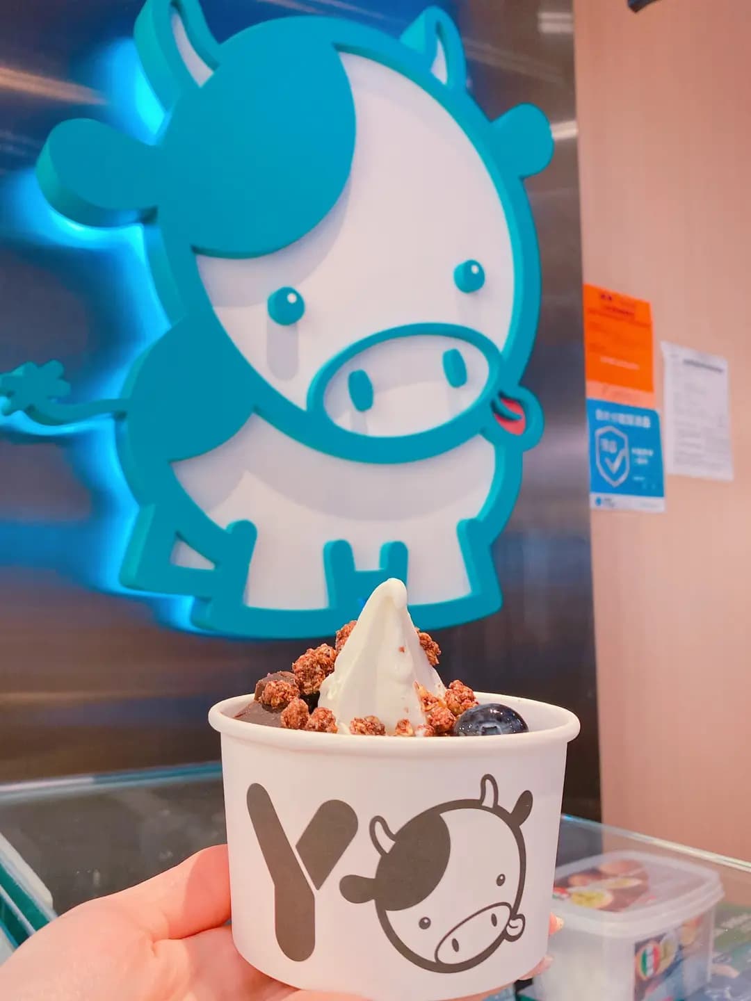 Yo Mama Frozen Yogurt photo 8