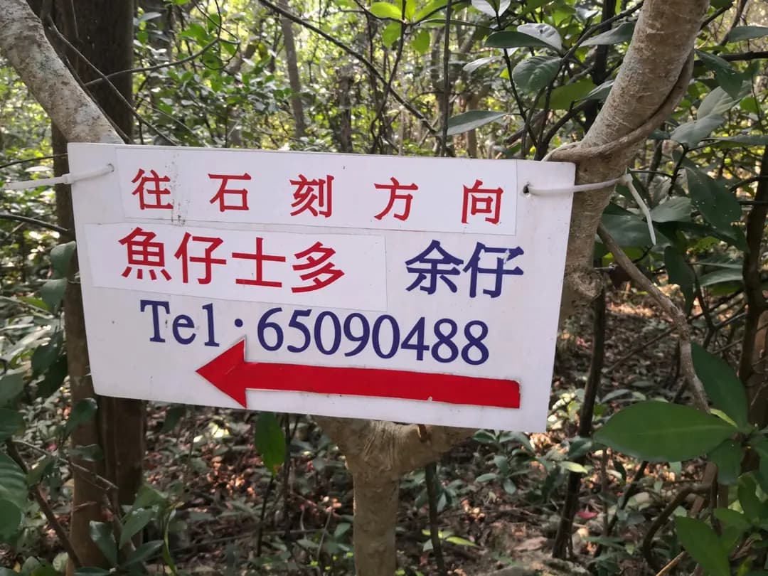 新創意士多 photo 6