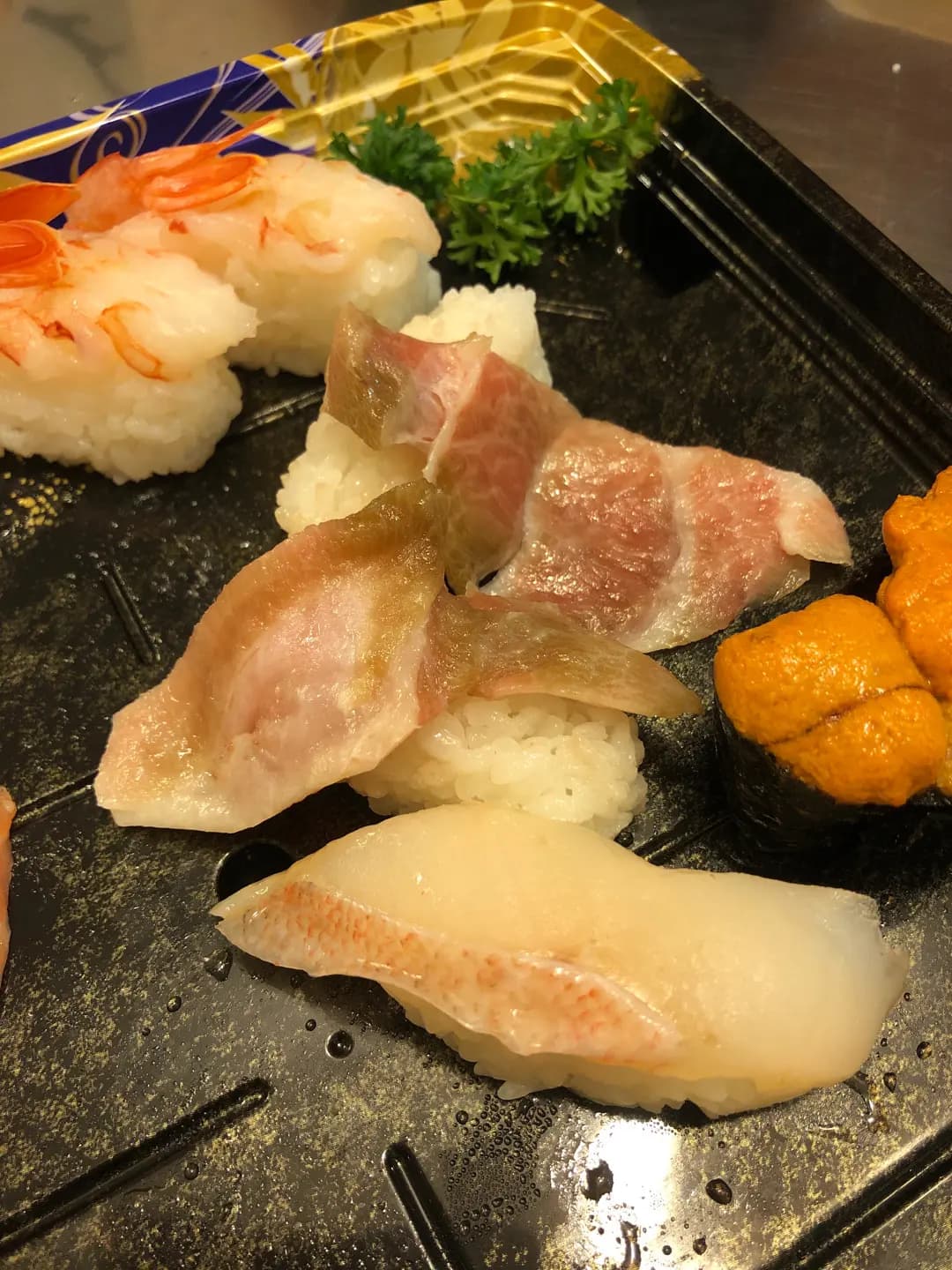 魚光 photo 2