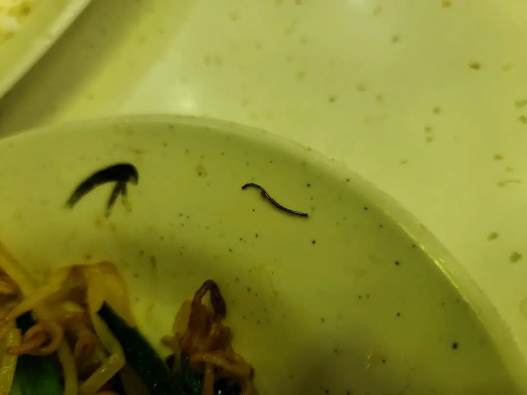 新泰昌茶餐廳 photo 5