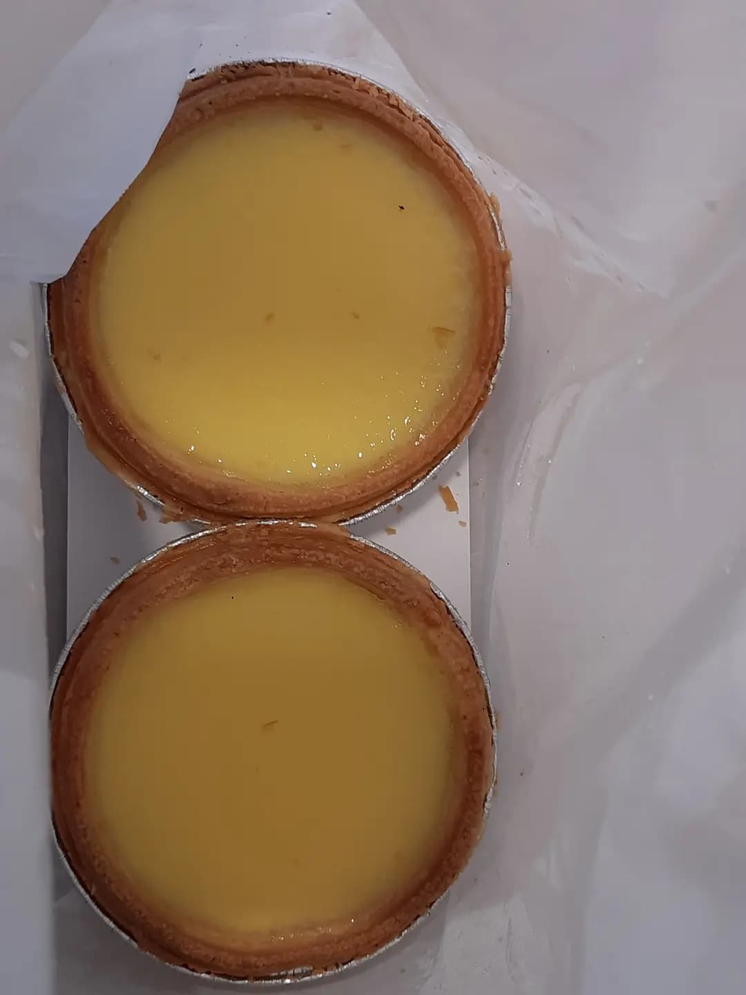 生命物 photo 3