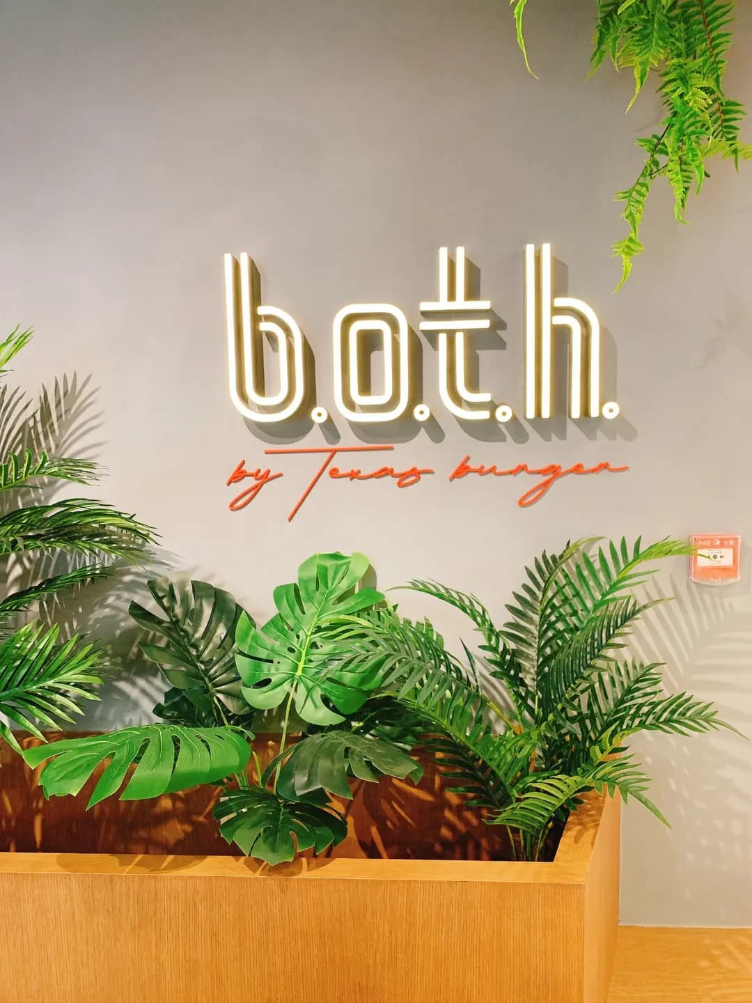b.o.t.h. by Texas Burger photo 5