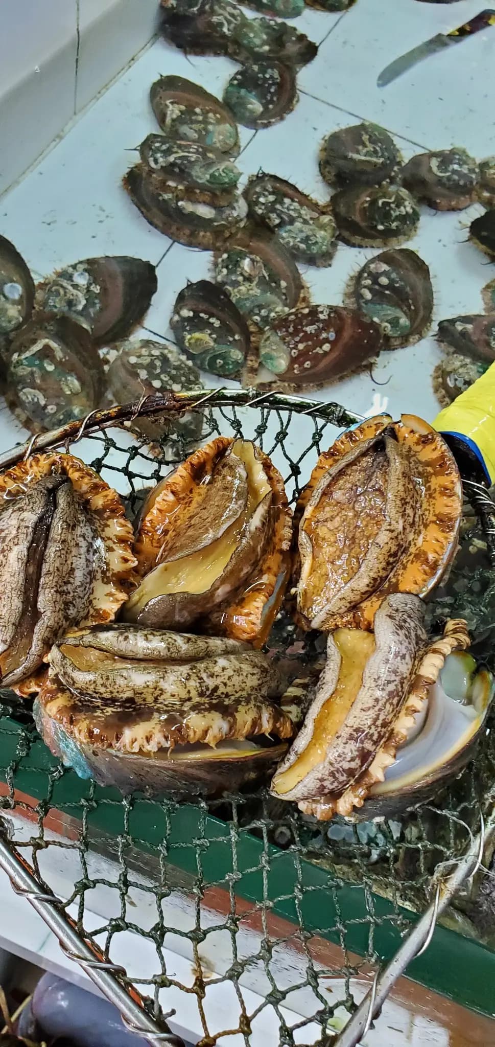 金輝海鮮酒家 photo 5