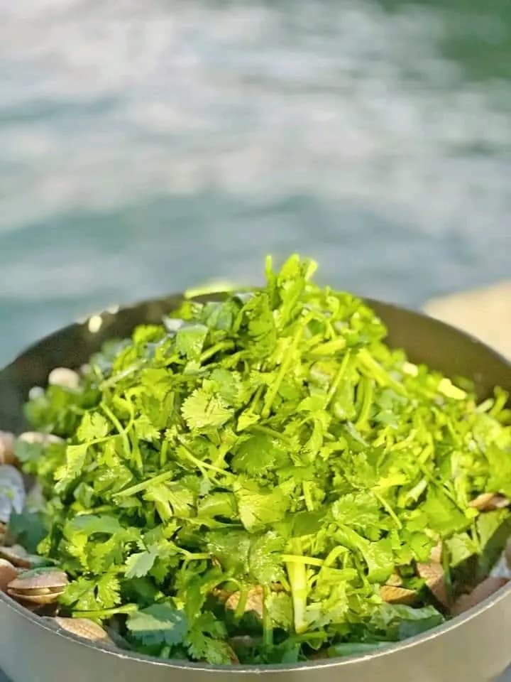 賣菜仔 photo 2