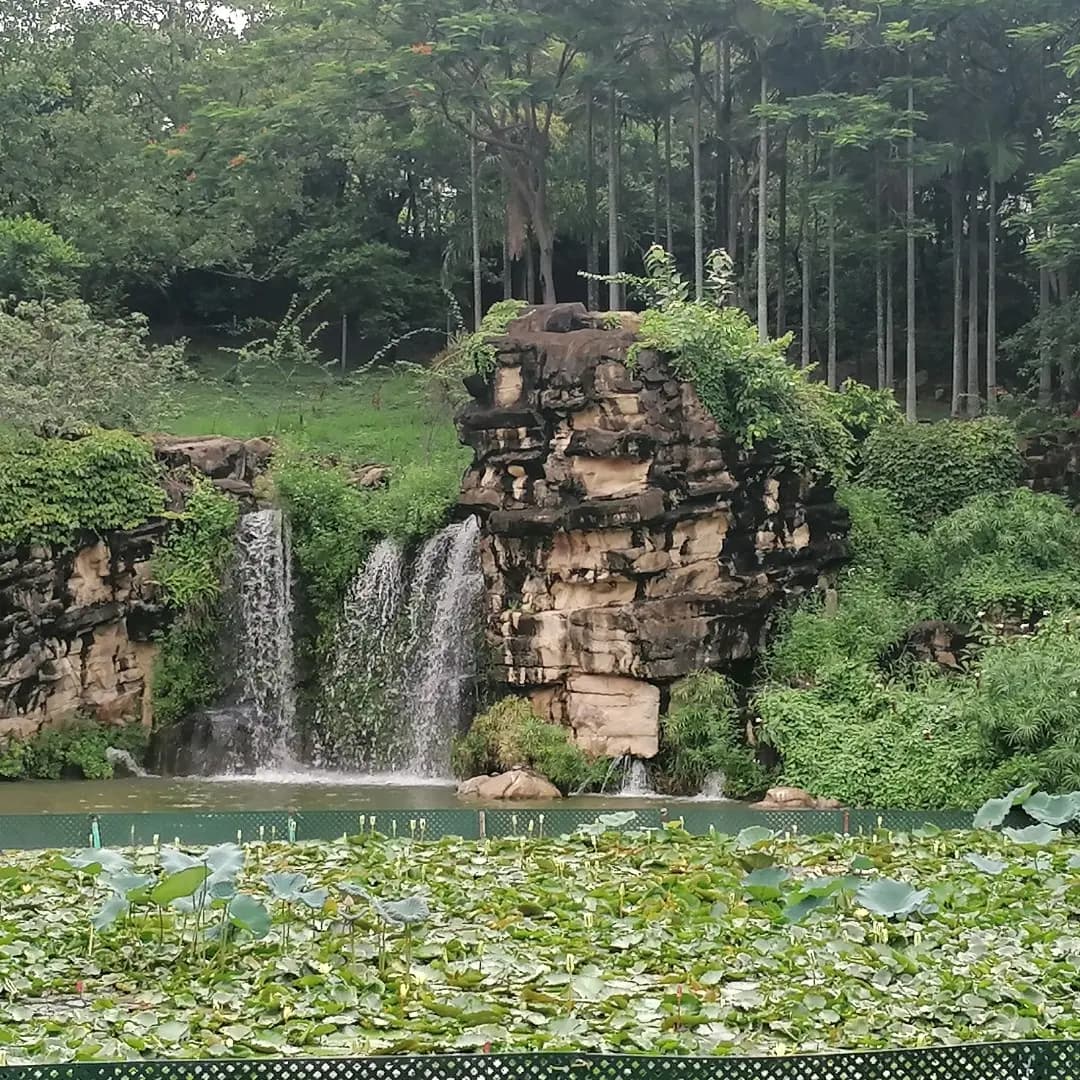 好煮意 photo 4