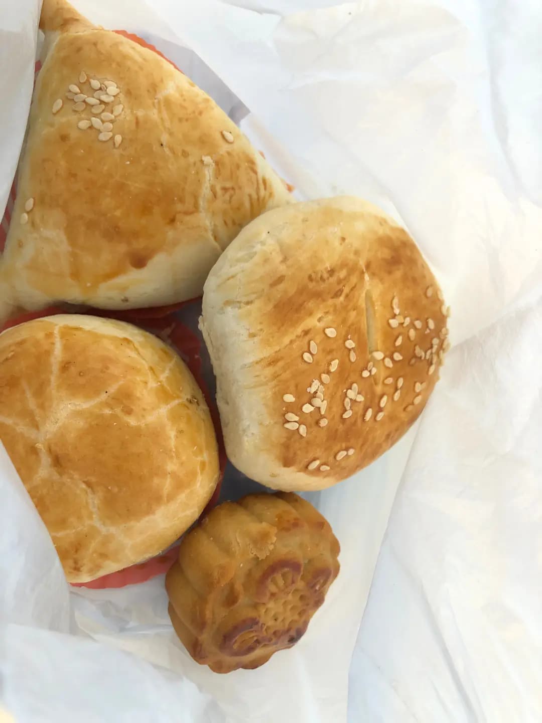 生命物 photo 2