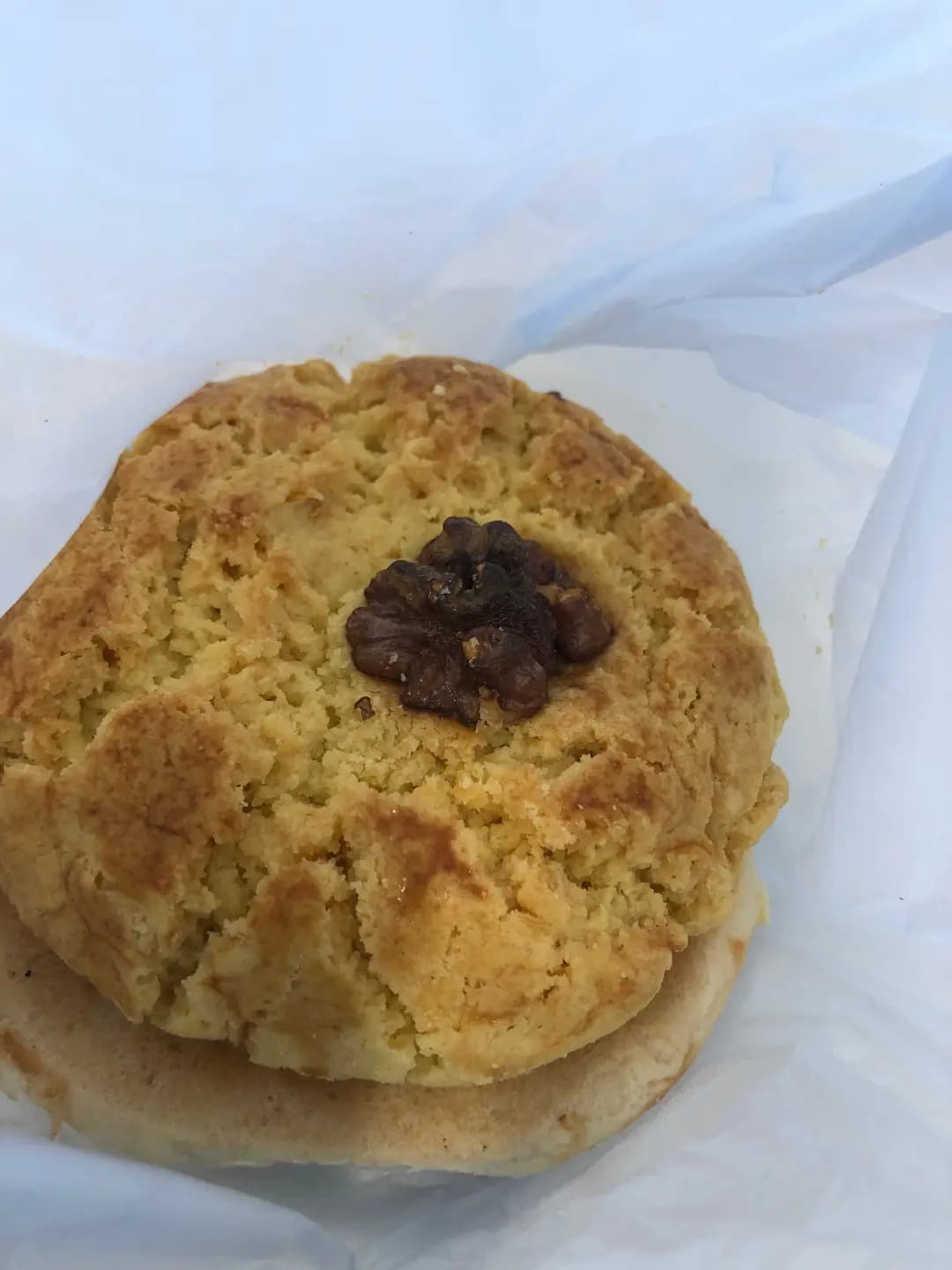 生命物 photo 4