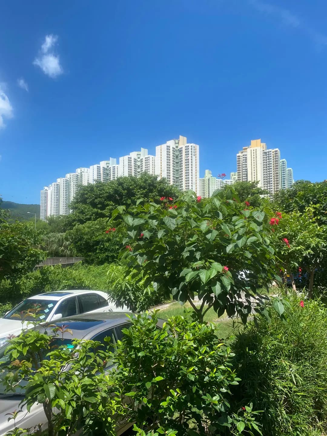 喜旺茶餐廳 photo 3