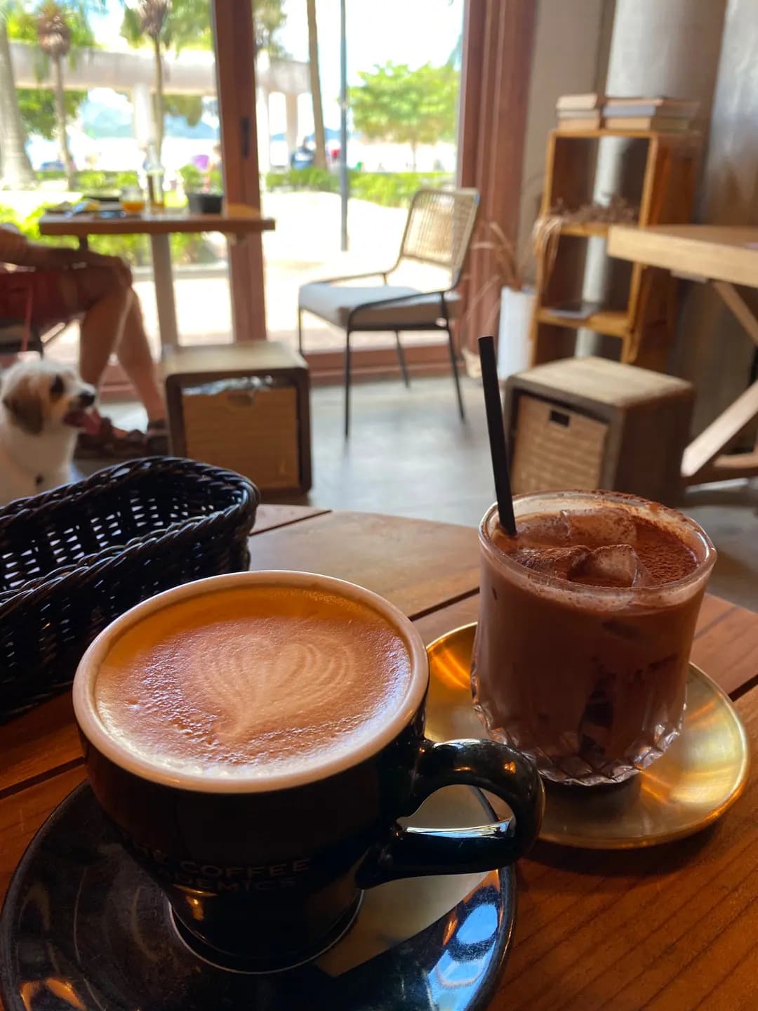 THE COFFEE ACADEMÏCS (The Pulse) photo 2