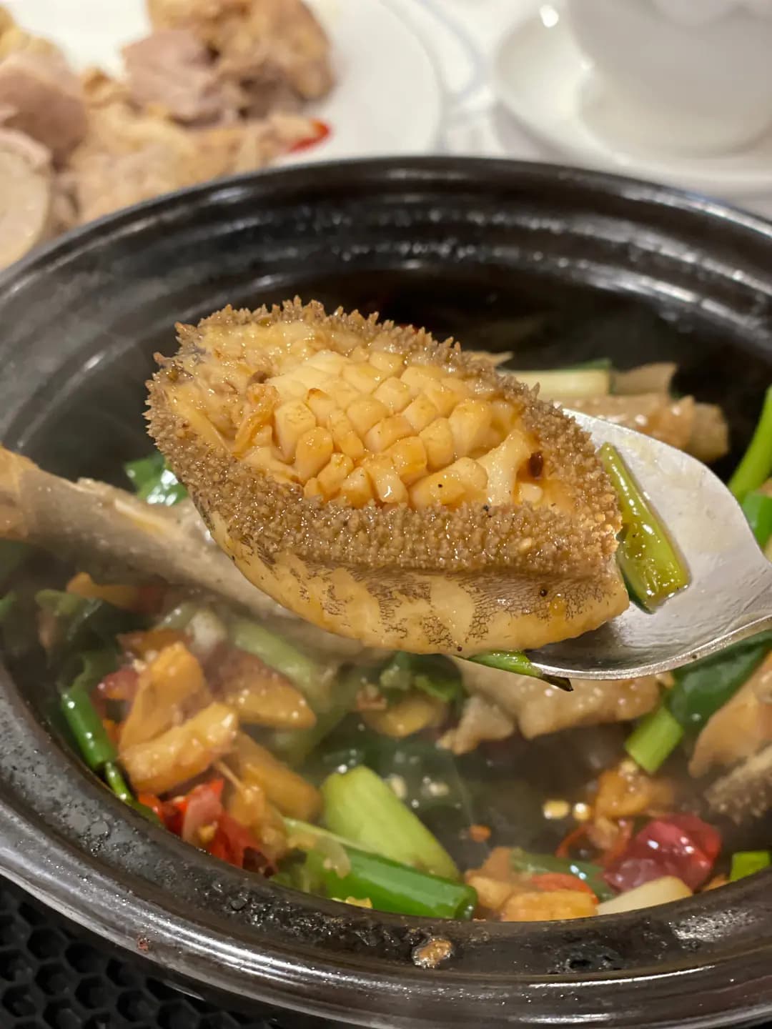 碧儷苑·精點粵菜 (擺花街) photo 2