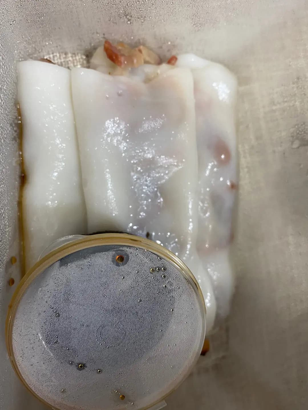 英記粥粉麵 photo 3