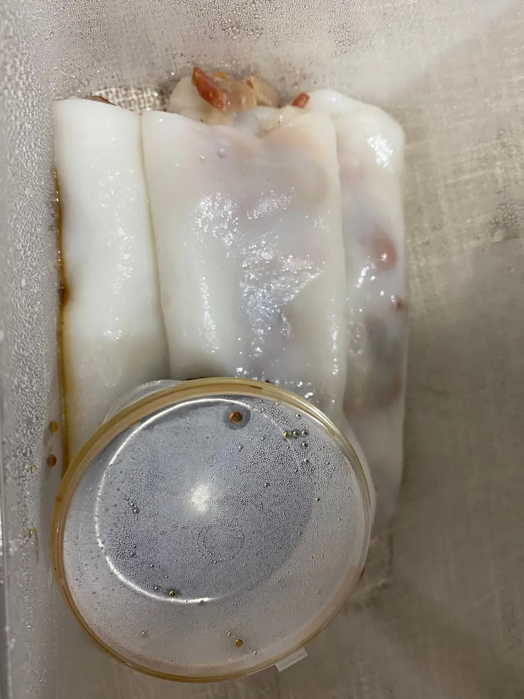 英記粥粉麵 photo 7