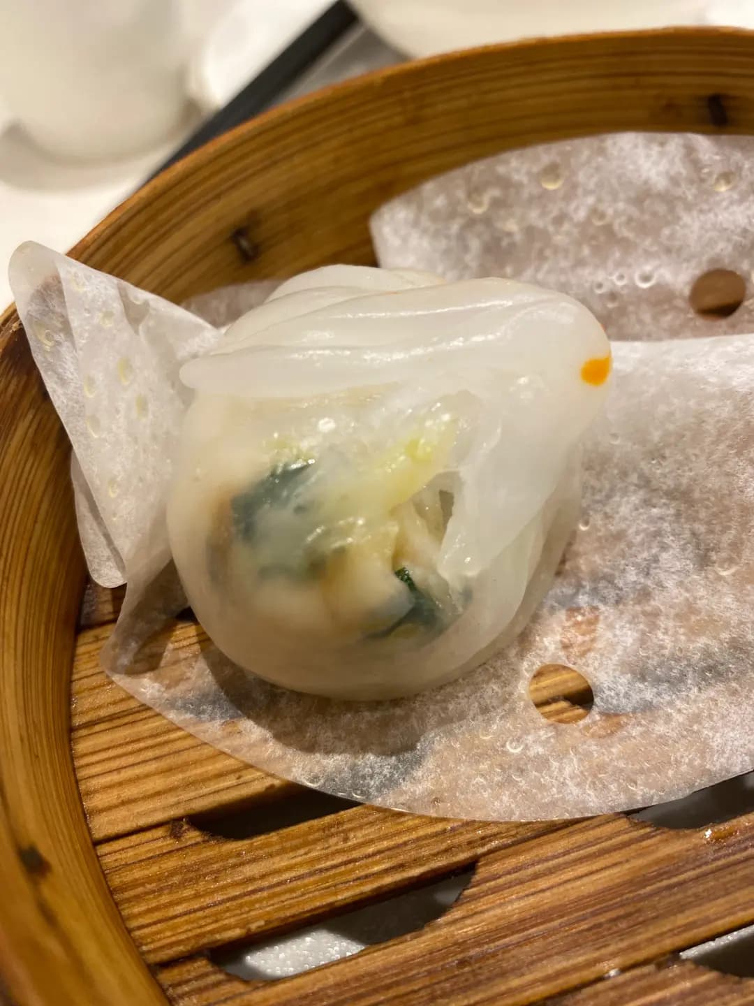 強記乳鴿1983 photo 1