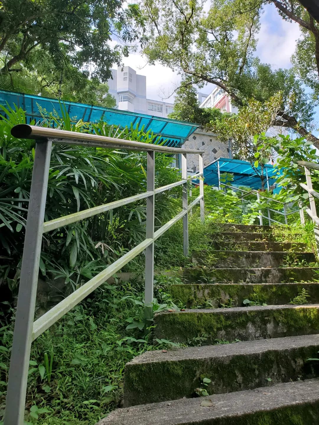 蘭苑餐廳 photo 3