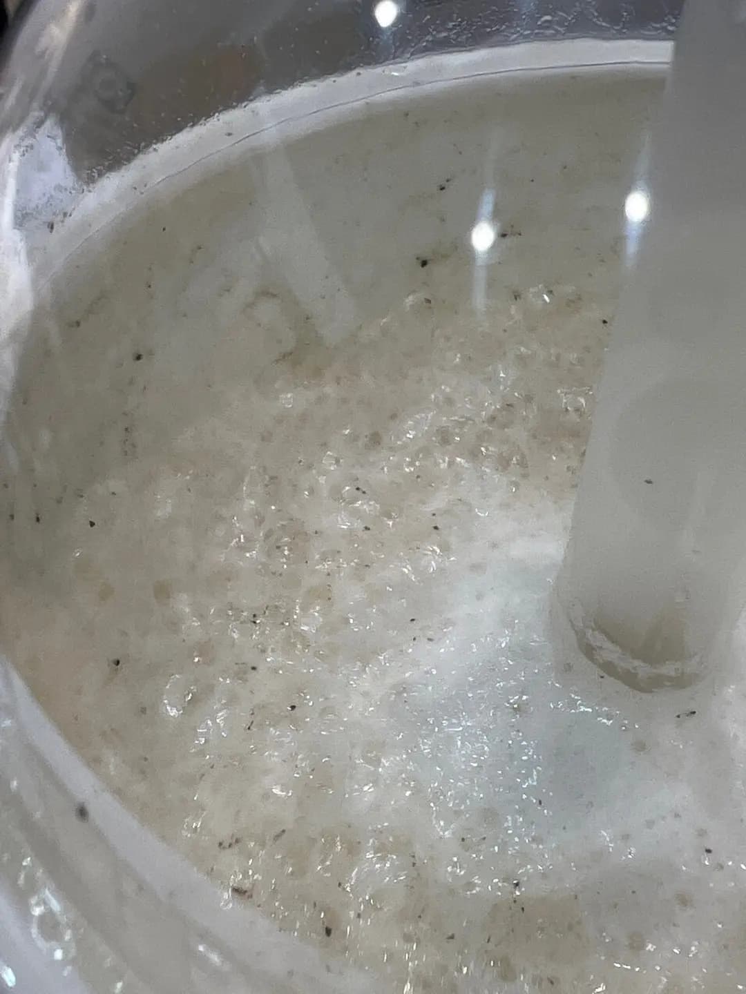 天仁茗茶 (創紀之城五期(apm)) photo 1