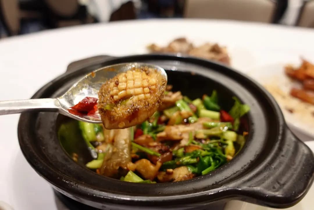 碧儷苑·精點粵菜 (羅氏商業廣場) photo 4