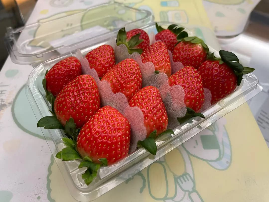韓印紅 photo 2