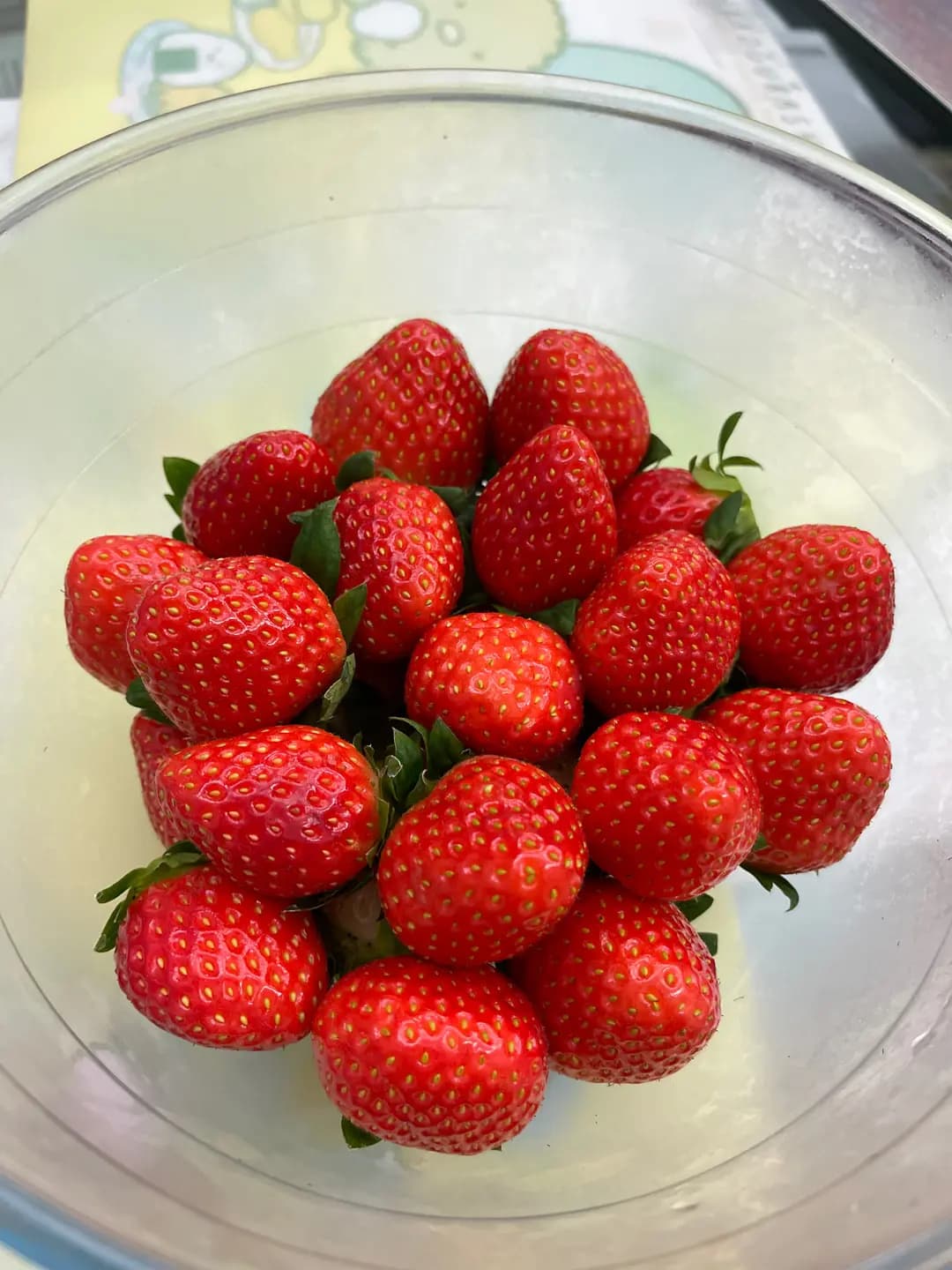 韓印紅 photo 1