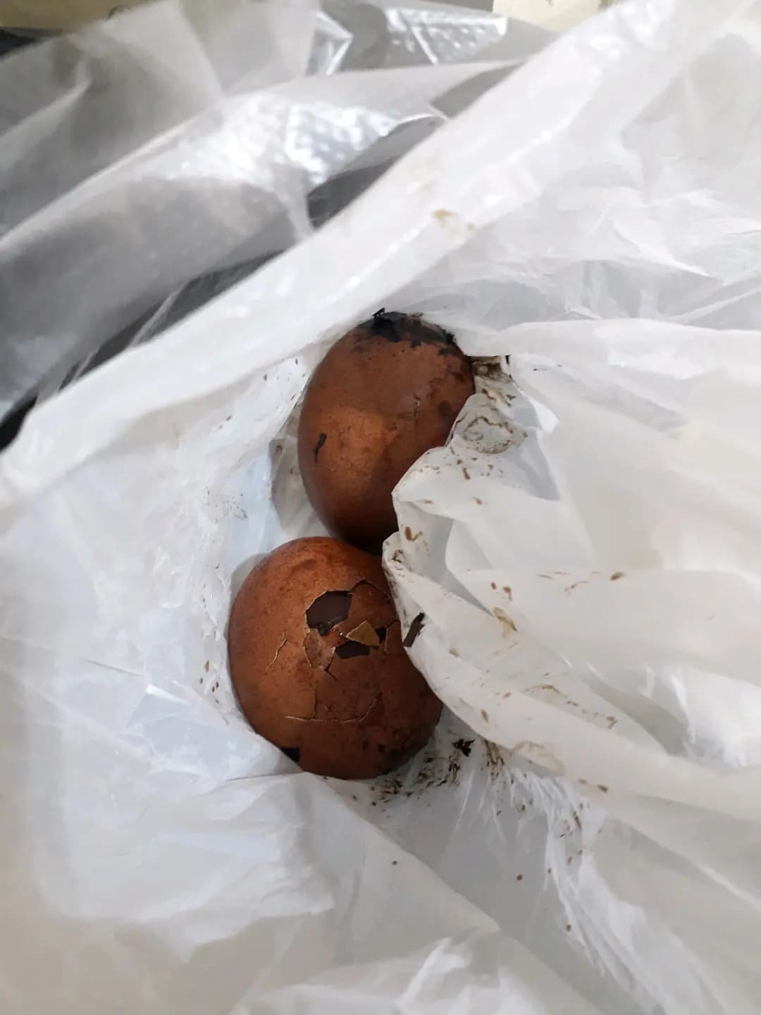 健康工房 photo 2