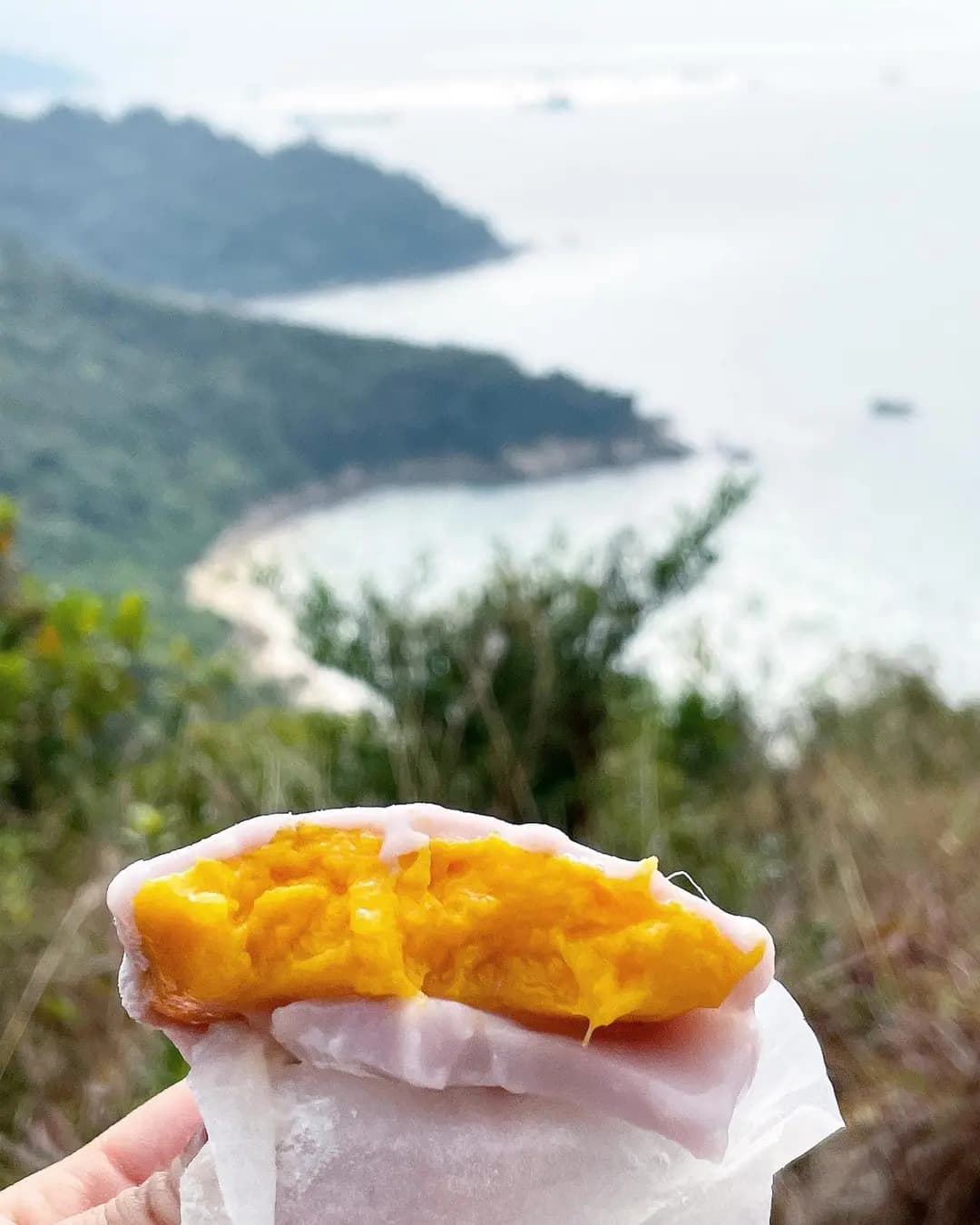 芒果皇長洲糯米糍 photo 1