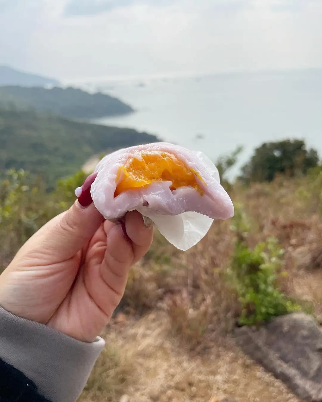 芒果皇長洲糯米糍 photo 2