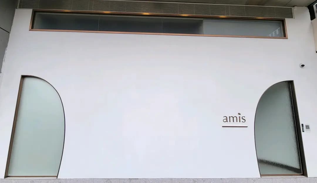Amis photo 7