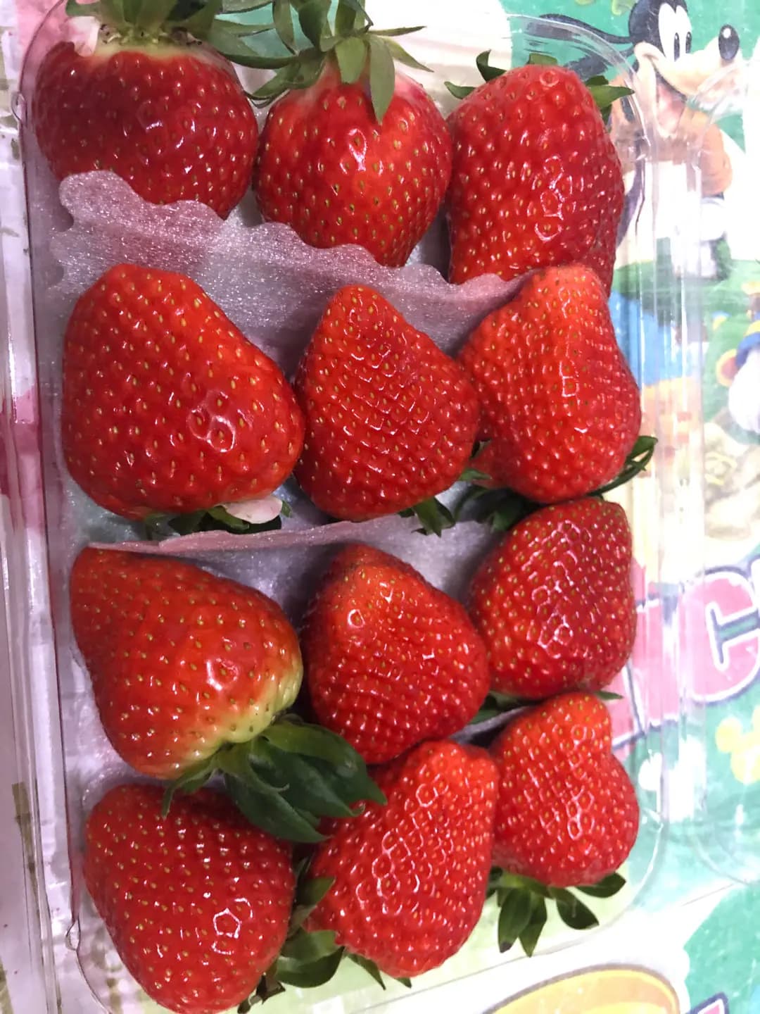 韓印紅 photo 3