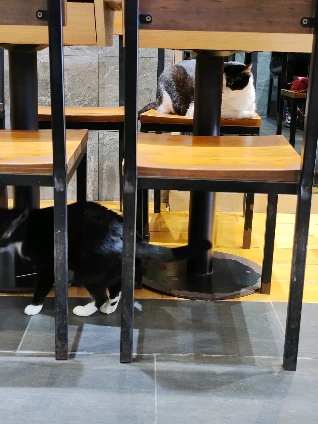 阿芳上海餛飩 photo 5