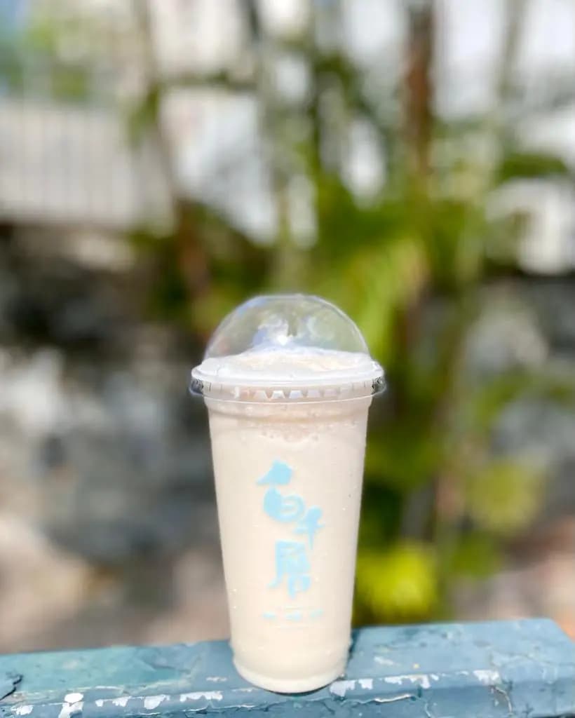 白千層 photo 2