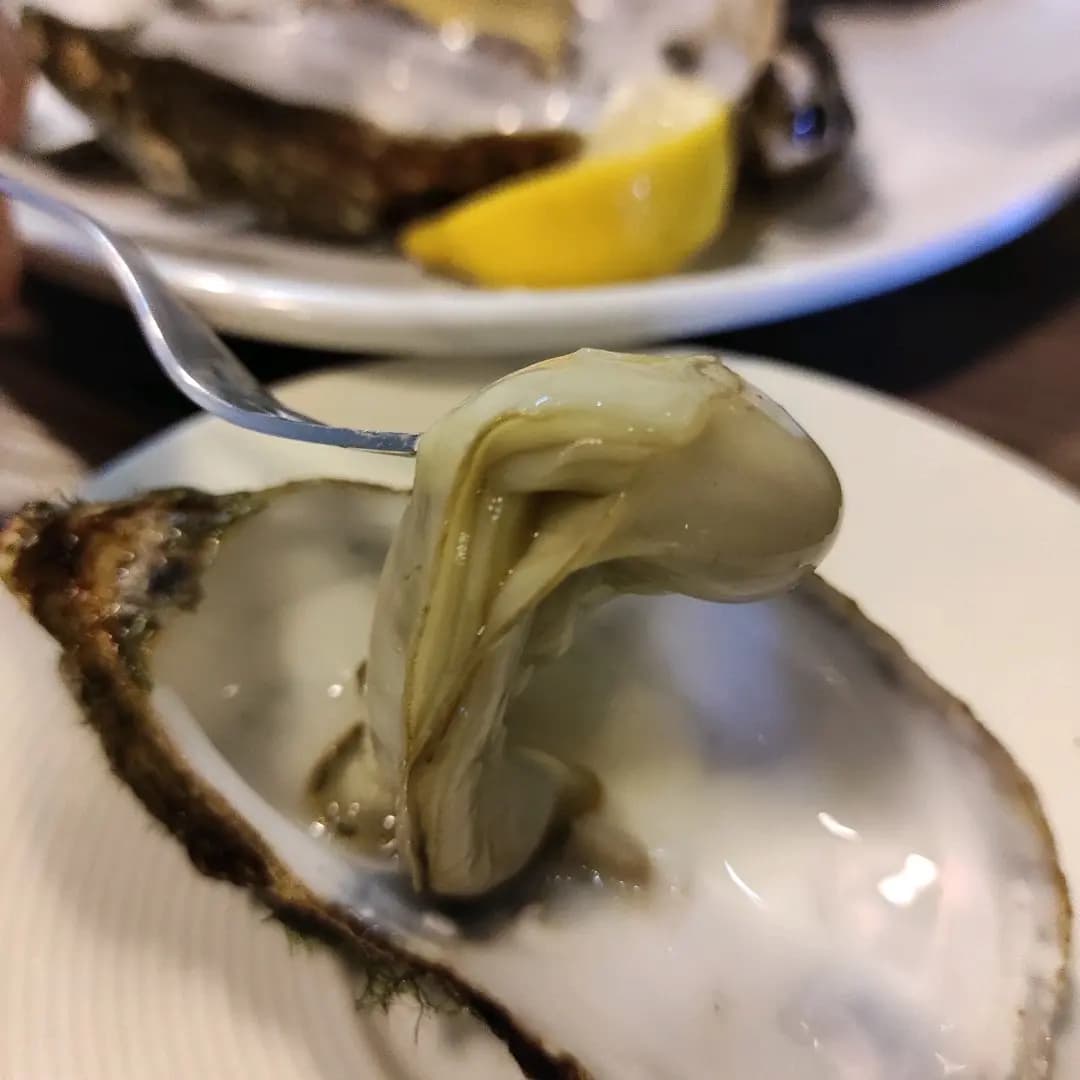 The Fat Oyster photo 1