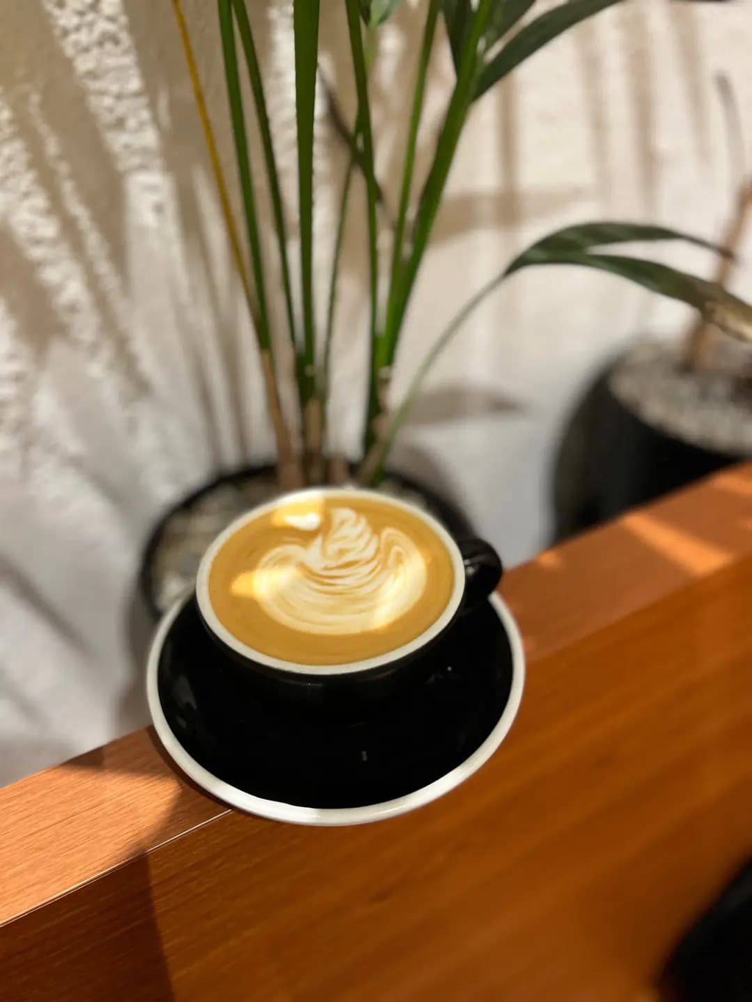 Black Sugar Coffee & Lifestyle photo 6